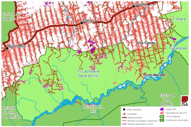 Desmatamento na TI Cachoeira Seca do Iriri | Instituto Socioambiental