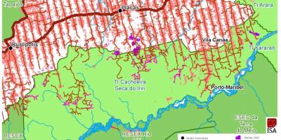 Desmatamento na TI Cachoeira Seca do Iriri | Instituto Socioambiental